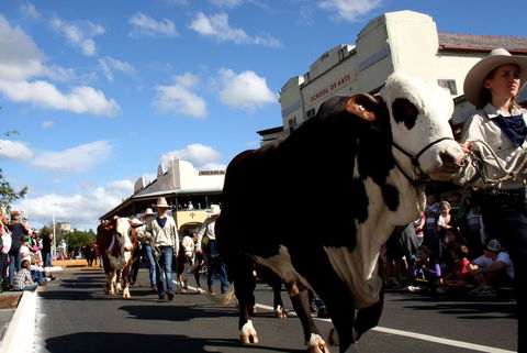 NCMC Casino Beef Week - Accommodation Batemans Bay 1