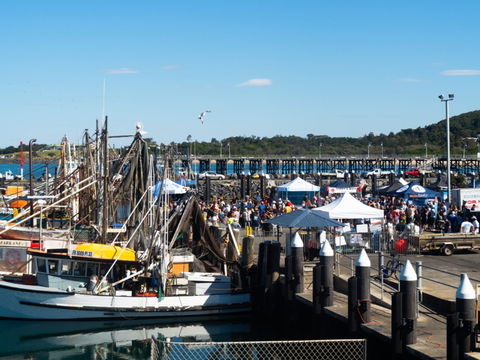 Ocean Harvest Festival - Accommodation Batemans Bay 0
