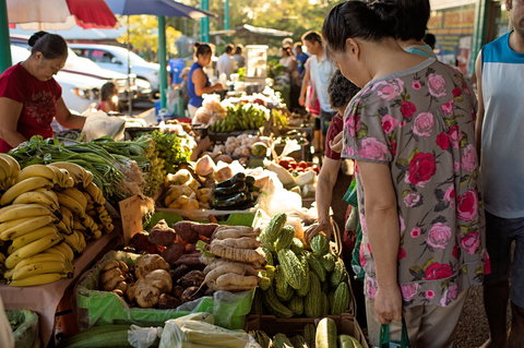 Rapid Creek Markets - Accommodation Batemans Bay 1