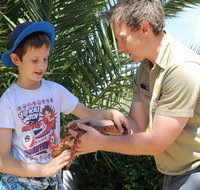 Zoocation at the National Zoo  Aquarium - Accommodation Batemans Bay