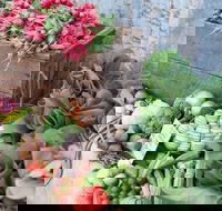 Ma Ma Creek Markets - Accommodation Batemans Bay