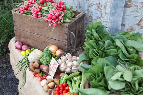 Ma Ma Creek Markets - Accommodation Batemans Bay 0