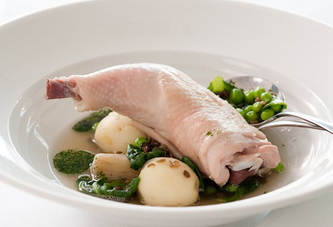ROCKET Restaurant - Accommodation Batemans Bay 3