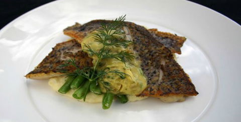 Aquarius Seafood Restaurant - Accommodation Batemans Bay 2