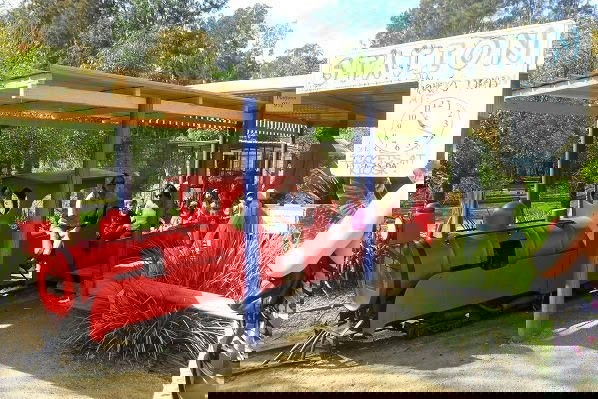 Enjoy Local Wildlife at Birdland Animal Park