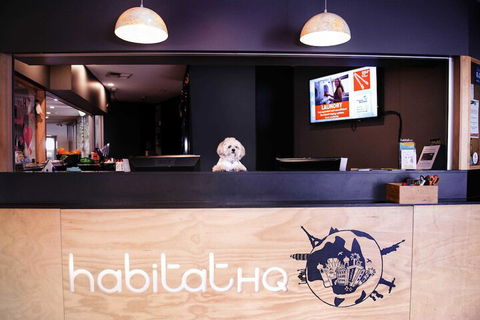 Habitat HQ - Hostel - Accommodation Batemans Bay 3
