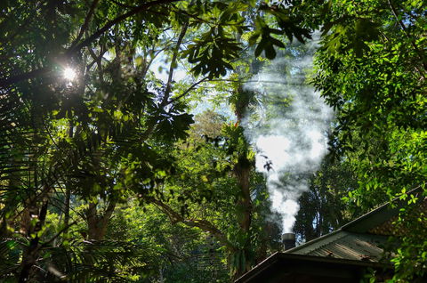 Narrows Escape Rainforest Retreat - Accommodation Batemans Bay 5