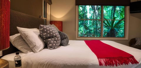 Narrows Escape Rainforest Retreat - Accommodation Batemans Bay 1