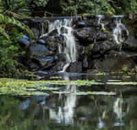 Kondalilla Eco Resort