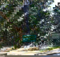 Byron Bay Rainforest Resort - Accommodation Batemans Bay