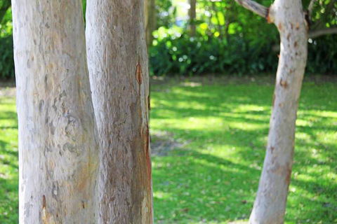 The Retreat Port Stephens - Accommodation Batemans Bay 2
