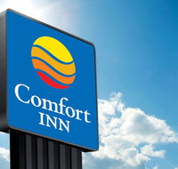 Comfort Hotel Sydney City - Accommodation Batemans Bay