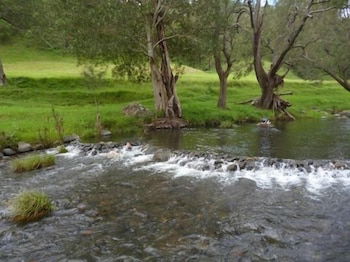 Christmas Creek Cafe & Cabins - Accommodation Batemans Bay 4