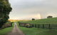 The Glen - thumb 6