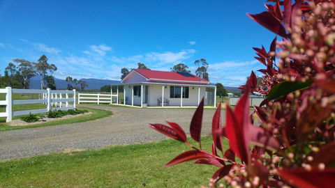 Little Sunnyside Accommodation - Accommodation Batemans Bay 1