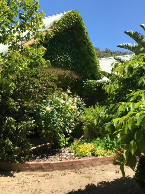 The Fingal Farm - Accommodation Batemans Bay 2