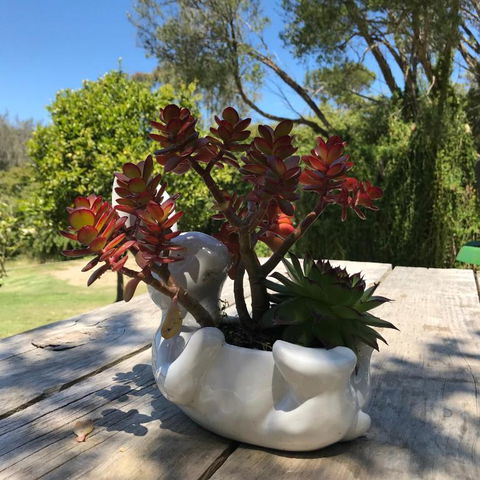 The Fingal Farm - Accommodation Batemans Bay 3
