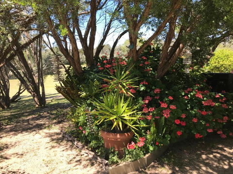 The Fingal Farm - Accommodation Batemans Bay 6