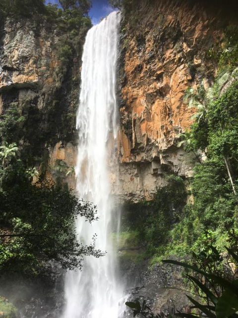 Purling Brook Falls Gwongorella - Accommodation Batemans Bay 2