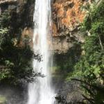 Purling Brook Falls Gwongorella - Accommodation Batemans Bay 0