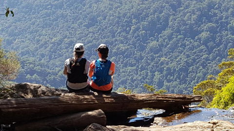Buddha Cottage Springbrook - Accommodation Batemans Bay 3