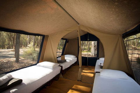 Paradise Country Farmstay - Accommodation Batemans Bay 6