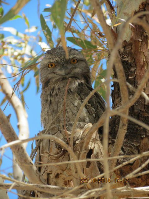 Kalbarri Tudor Holiday Park - Accommodation Batemans Bay 3