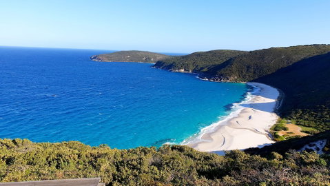 Wolfes Landing Eco Retreat - Accommodation Batemans Bay 1