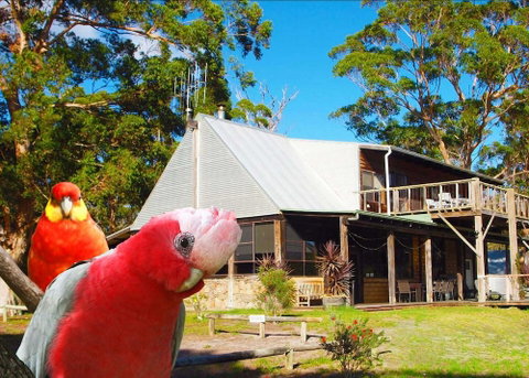 Wolfes Landing Eco Retreat - Accommodation Batemans Bay 2