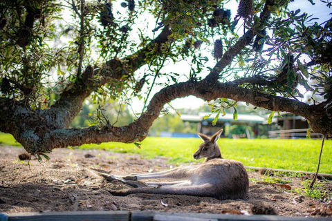 Waterfall Springs Retreat And Wildlife Sanctuary - Accommodation Batemans Bay 5