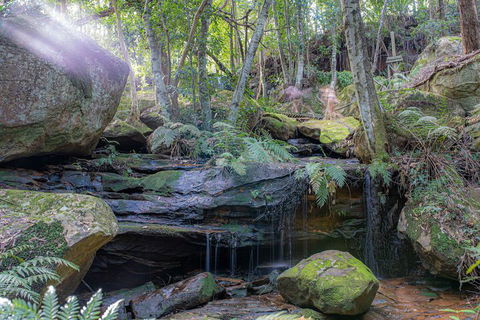 Waterfall Springs Retreat And Wildlife Sanctuary - Accommodation Batemans Bay 3