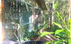 Ecostudio Fellini - thumb 3