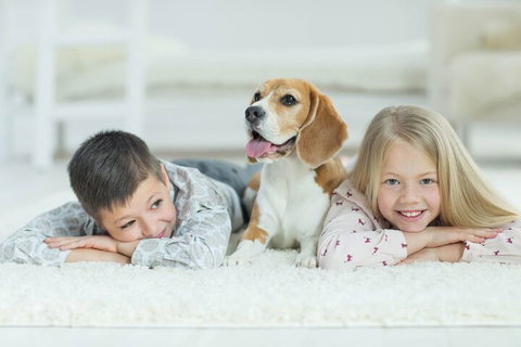 BOUTIQUE STAYS - Brighton Abode - Accommodation Batemans Bay 5