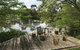 Wonderland Hobby Farm - thumb 5