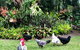 Eden Rest - thumb 3