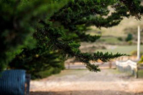 Wattle Grove Homestead Bed & Breakfast - Accommodation Batemans Bay 5
