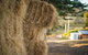 Wattle Grove Homestead Bed & Breakfast - thumb 6