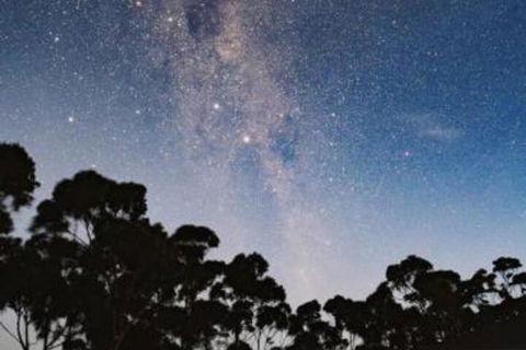 Tinderbox Cliff House - Accommodation Batemans Bay 6