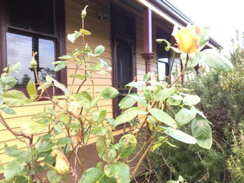 Albion Cottage - Accommodation Batemans Bay 4