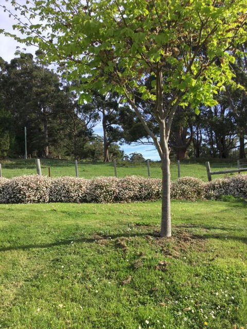 Nextdooratportarthur - Accommodation Batemans Bay 3