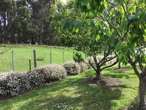 Nextdooratportarthur - Accommodation Batemans Bay 1