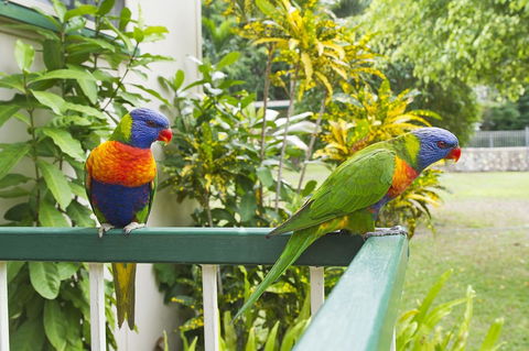 Kooyong Apartment 2 - Accommodation Batemans Bay 2