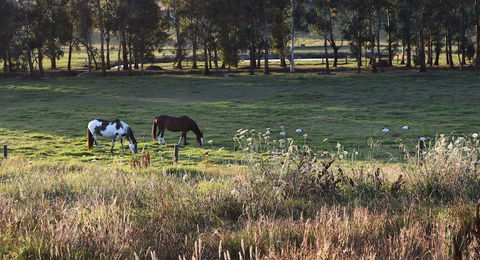 Labertouche Gypsy Creek Winery - Accommodation Batemans Bay 3
