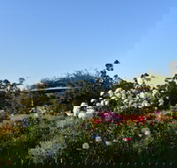 Labertouche Gypsy Creek Winery - Accommodation Batemans Bay