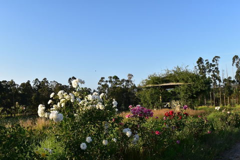 Labertouche Gypsy Creek Winery - Accommodation Batemans Bay 0