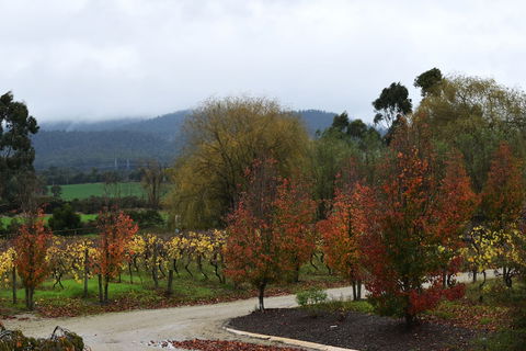 Labertouche Gypsy Creek Winery - Accommodation Batemans Bay 5