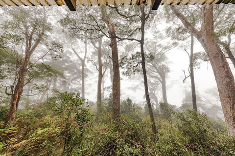 The Chalet - Accommodation Batemans Bay 1