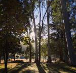 Bright Cabin Park - Accommodation Batemans Bay