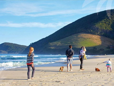 True Blue - Accommodation Batemans Bay 3