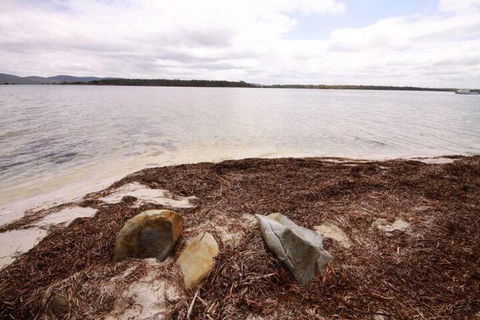 Berringar 71 Green Point - Accommodation Batemans Bay 4
